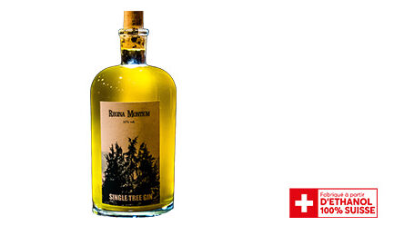 Edelweiss Kräuterhotel Rigi